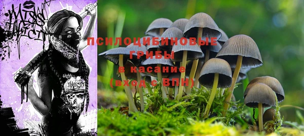 кокаин колумбия Алексин